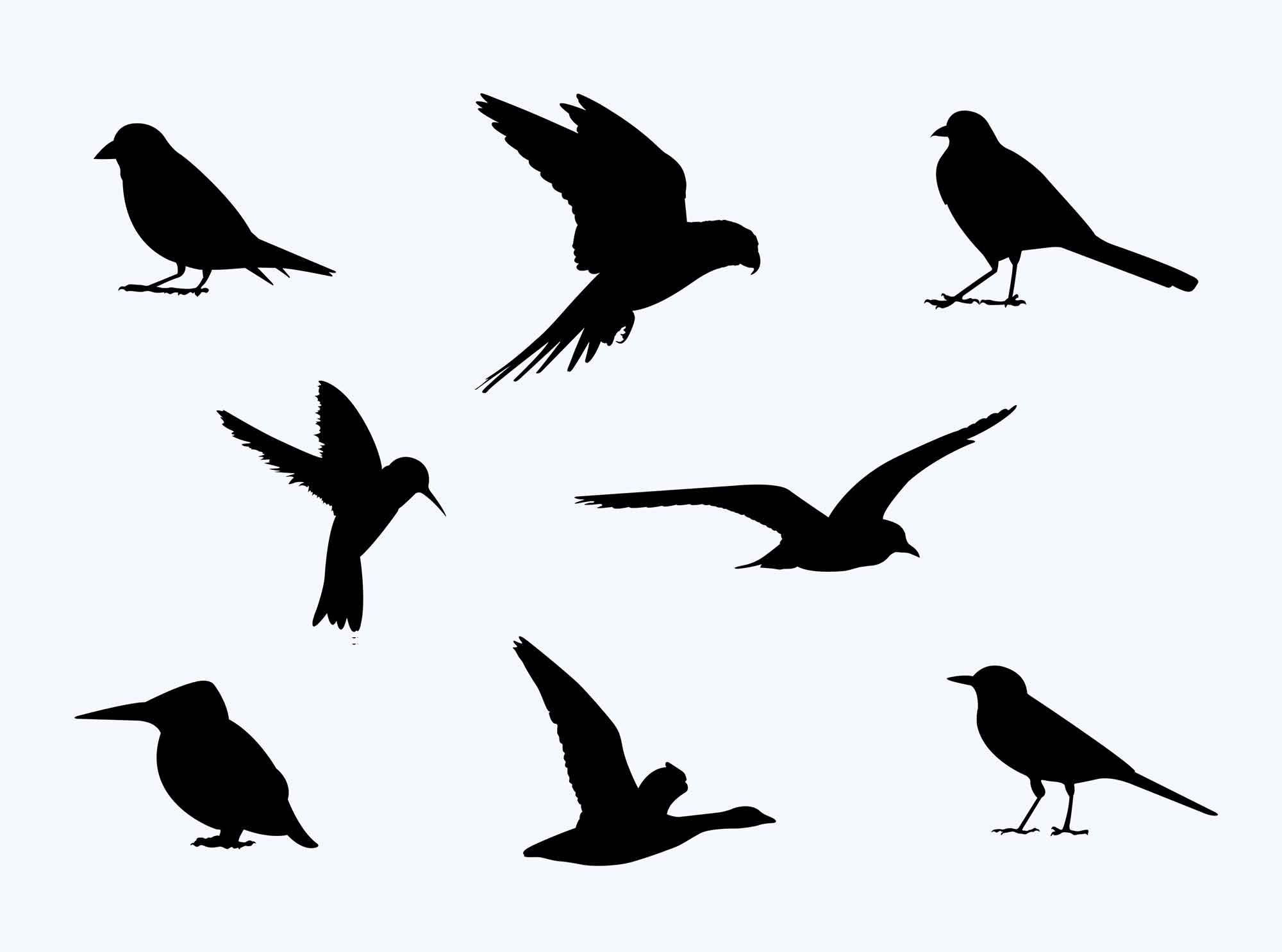 Free Free Birds Silhouette PSD