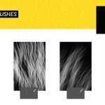 Free Hair Photoshop Brushes 2026 — Realistic Hair Strand Brushes | PsFiles