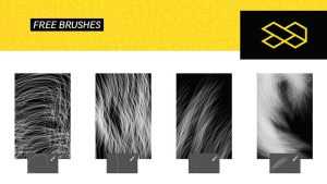 Free Hair Photoshop Brushes 2026 — Realistic Hair Strand Brushes | PsFiles