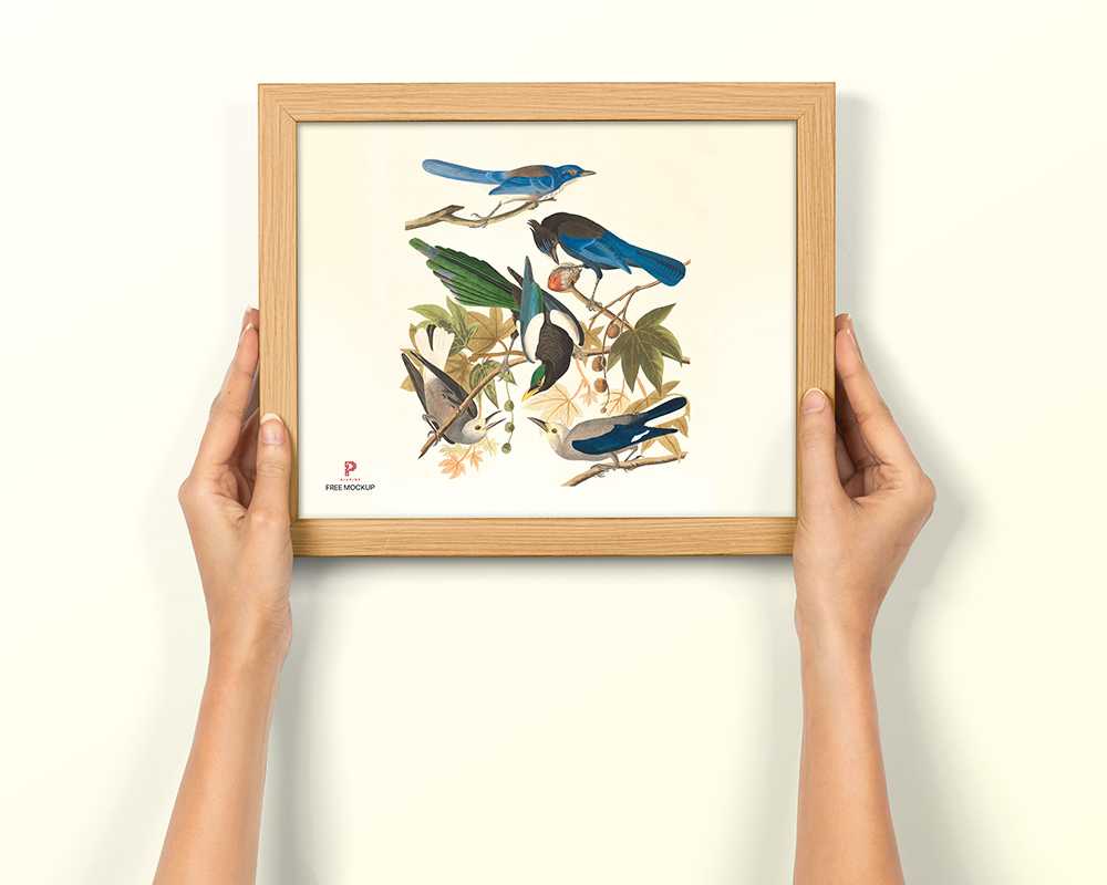 Free Hand Holding Photo Frame Mockup PSD