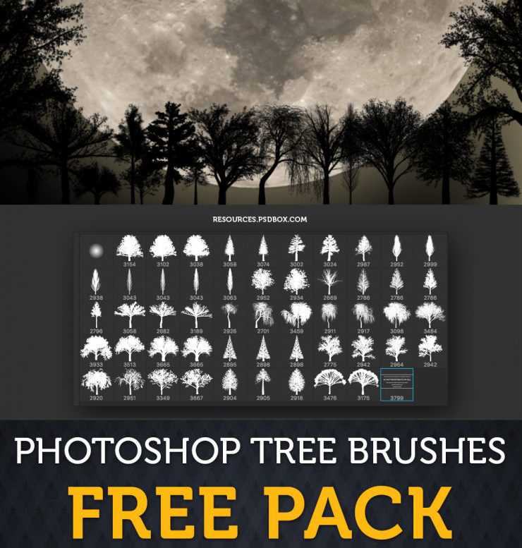 Free High-Resolution Tree Brushes Pack