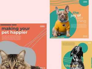 Free Instagram Post PSD Template For Pet Lovers