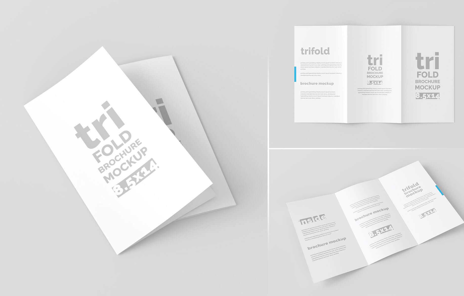 Free Legal Paper Tri-Fold Brochure Mockup PSD Set