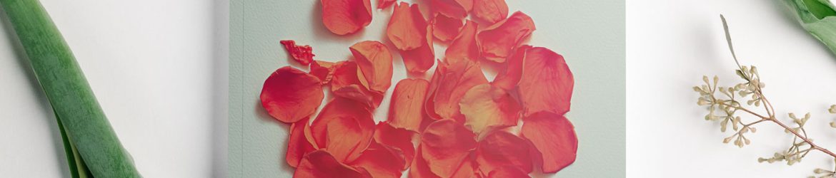 Free Magazine Cover Mockup Flowers Scene