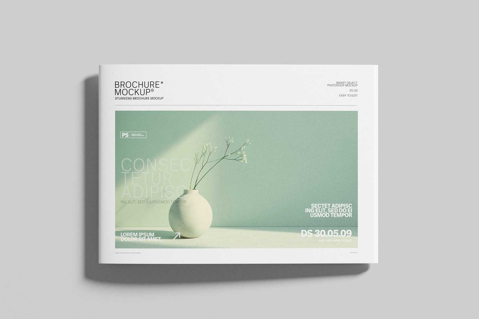 Free Minimal A4 Landscape Brochure Cover Mockup Top View