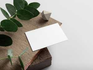 Free Minimal Business Card Mockup Vol. 5 PSD
