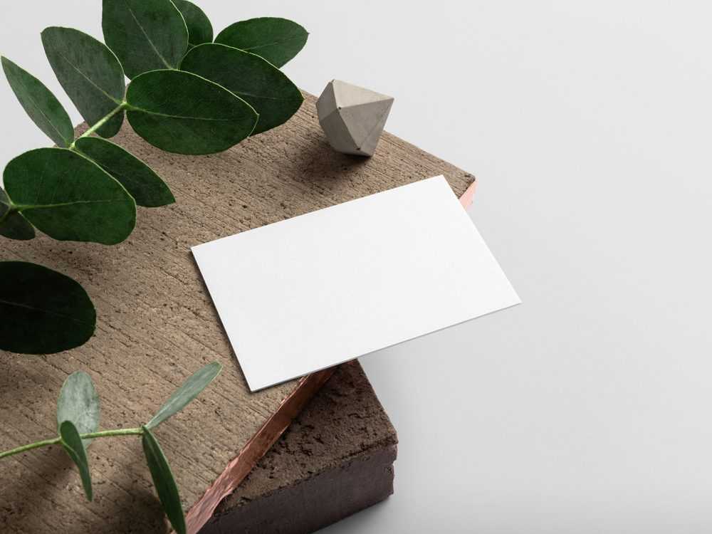 Free Minimal Business Card Mockup Vol. 5 PSD