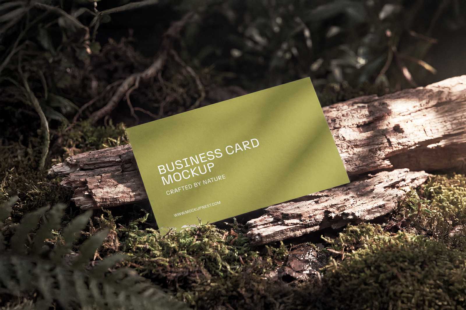 Free Natural Business Card Mockup