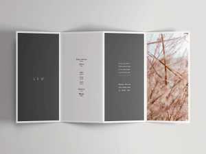 Free Open Four Fold Brochure Mockup PSD