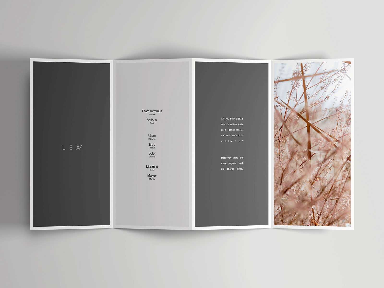 Free Open Four Fold Brochure Mockup PSD