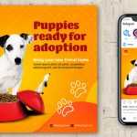 Free Pets Adoption Post Design PSD Template - Free PSD Download Free Pets Adoption Post Design PSD Template