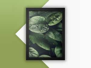 Free Photo Frame Mockup PSD