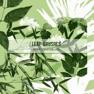 Free Photoshop Leaf Brushes by webdesigner Lab