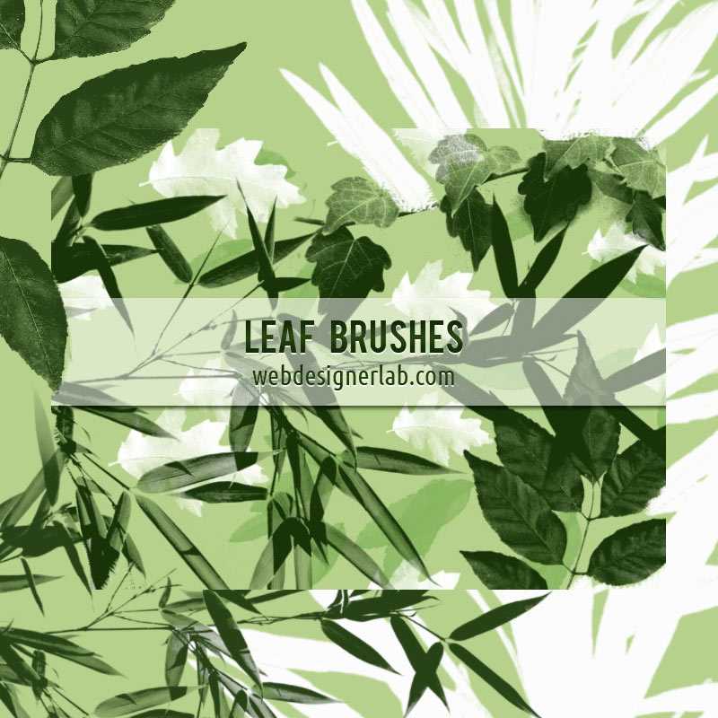 Free Photoshop Leaf Brushes by webdesigner Lab
