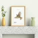 Free Picture Frame Mockup PSD