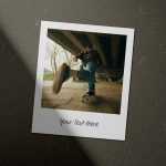 Free Polaroid Frame Mockup PSD Templates - Free PSD Download Free Polaroid Frame Mockup PSD Templates