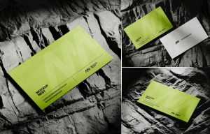 Free Premium Look Business Card Mockups on Rock PSD files
