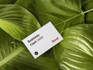 Free PSD Business Card on Green Leaf Mockup