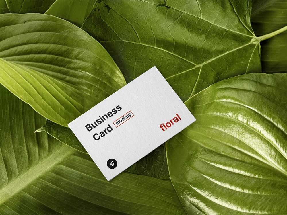 Free PSD Business Card on Green Leaf Mockup