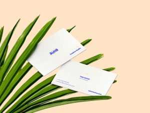 Free PSD Business Cards with Palm Leaves Mockup
