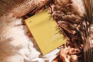 Free Softcover Book Mockup with Rustic Decor and Shadows