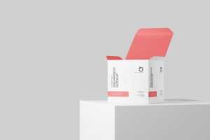 Free Square Box Mockup