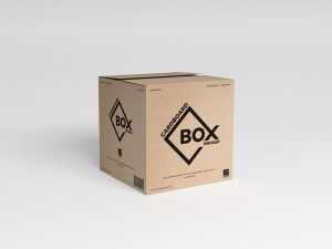 Free Square Cardboard Box Design Mockup