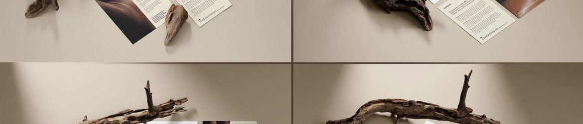 Free Stationery Mockup set with Wood Branches