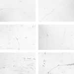 Free Subtle Crack Overlay Textures