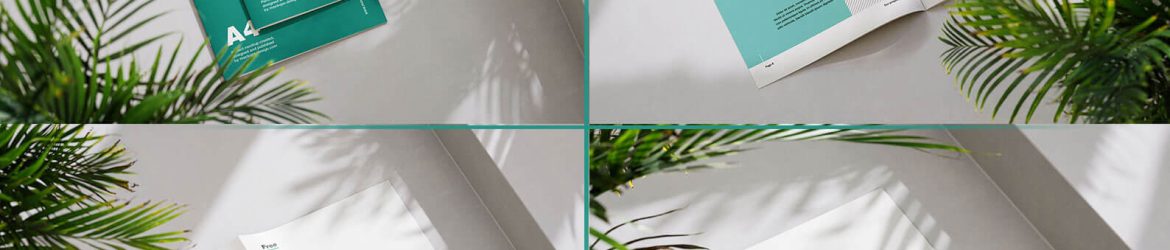 Free Sunny Scene with A4 Brochure Full Mockups PSD set
