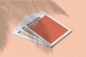 Free Three Magazines Cover Mockup PSD