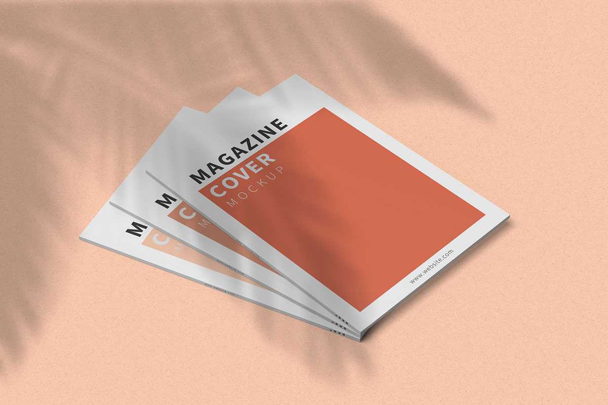 Free Three Magazines Cover Mockup PSD