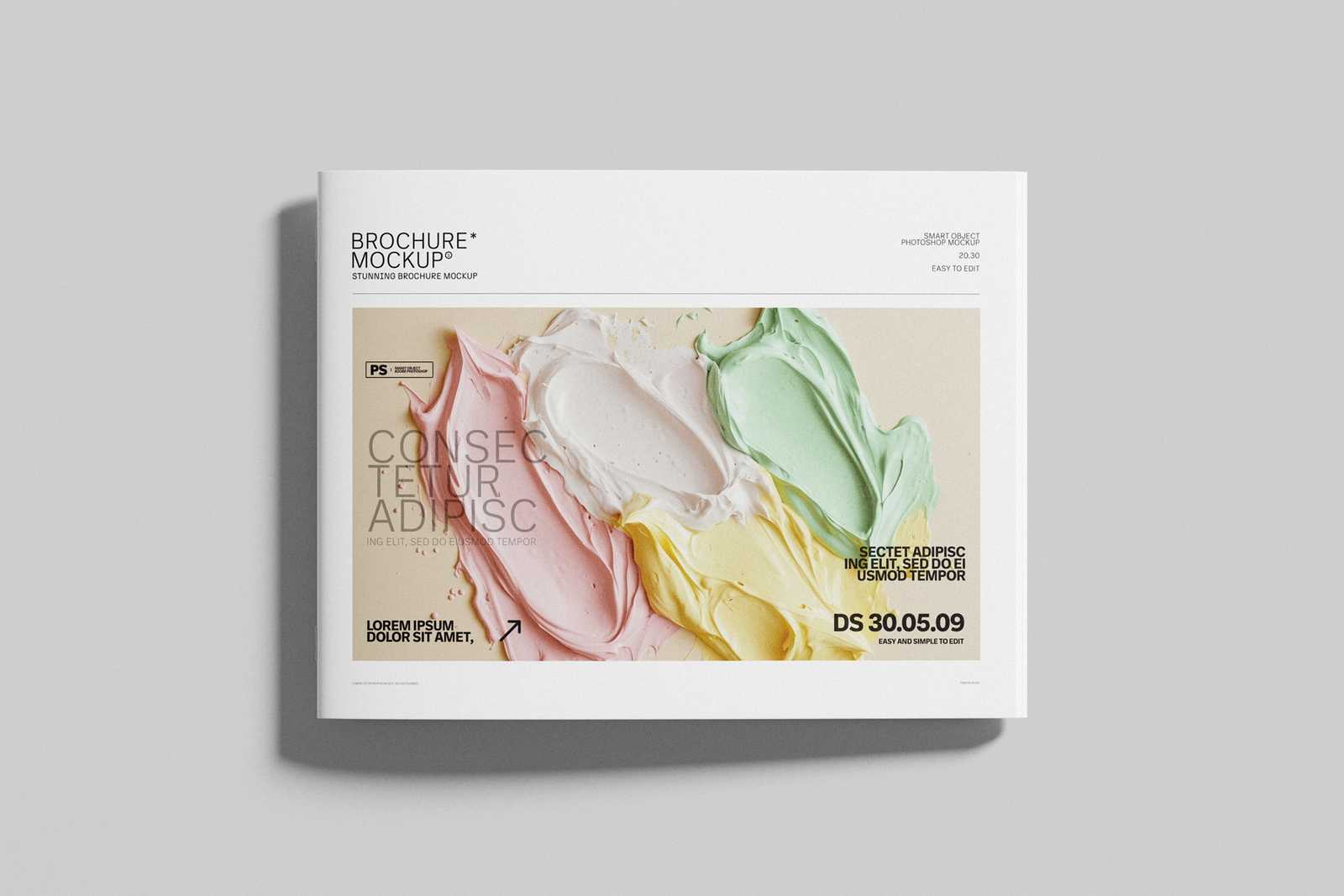 Free Top View US Letter Landscape Brochure Cover Mockup Display