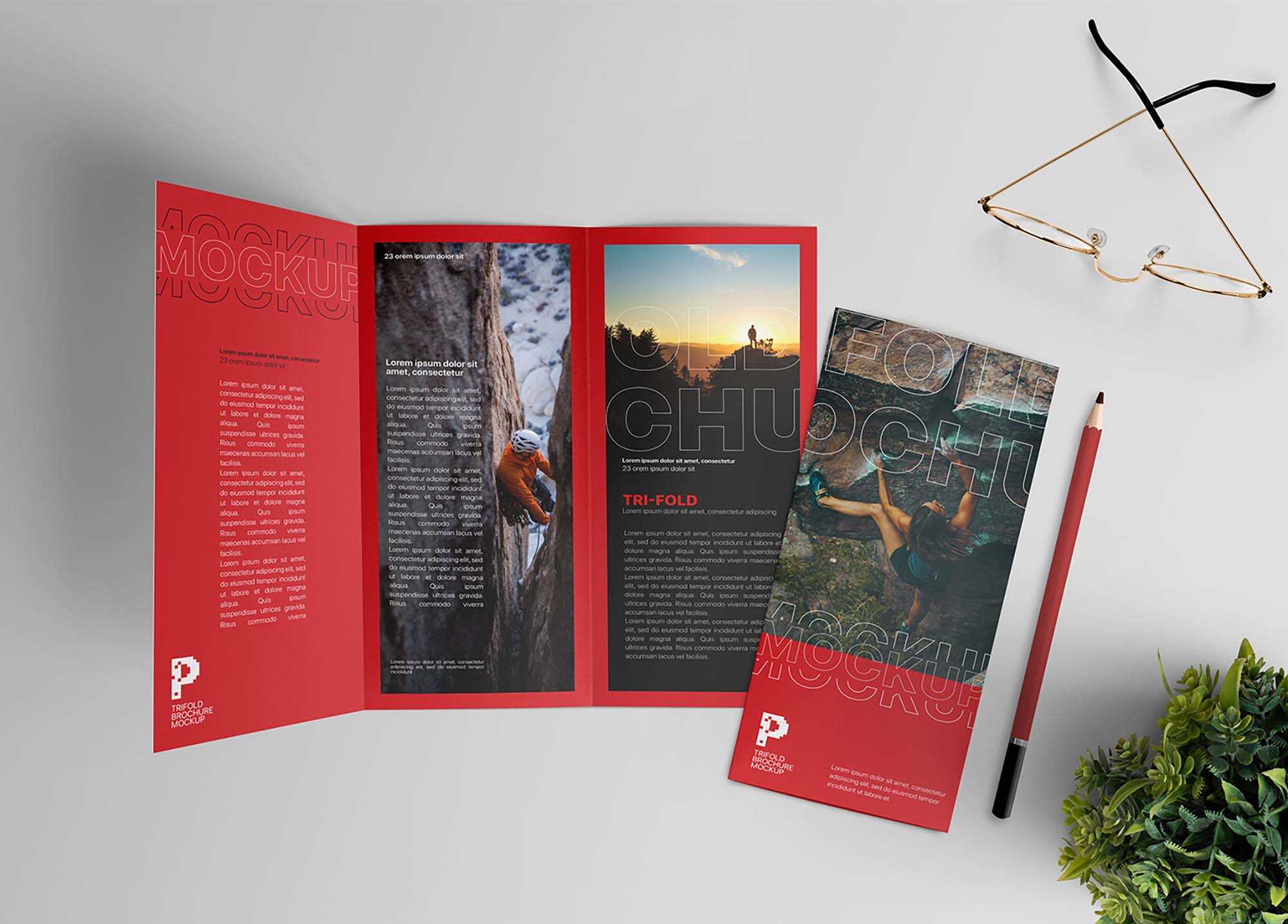 Free Trifold Brochure Mockup Scene PSD