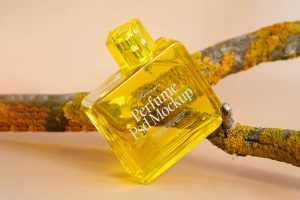 Free Yellow Glass Perfume Bottle Mockup