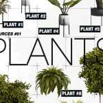 Indoor Plants PSD Design Resources for Architects