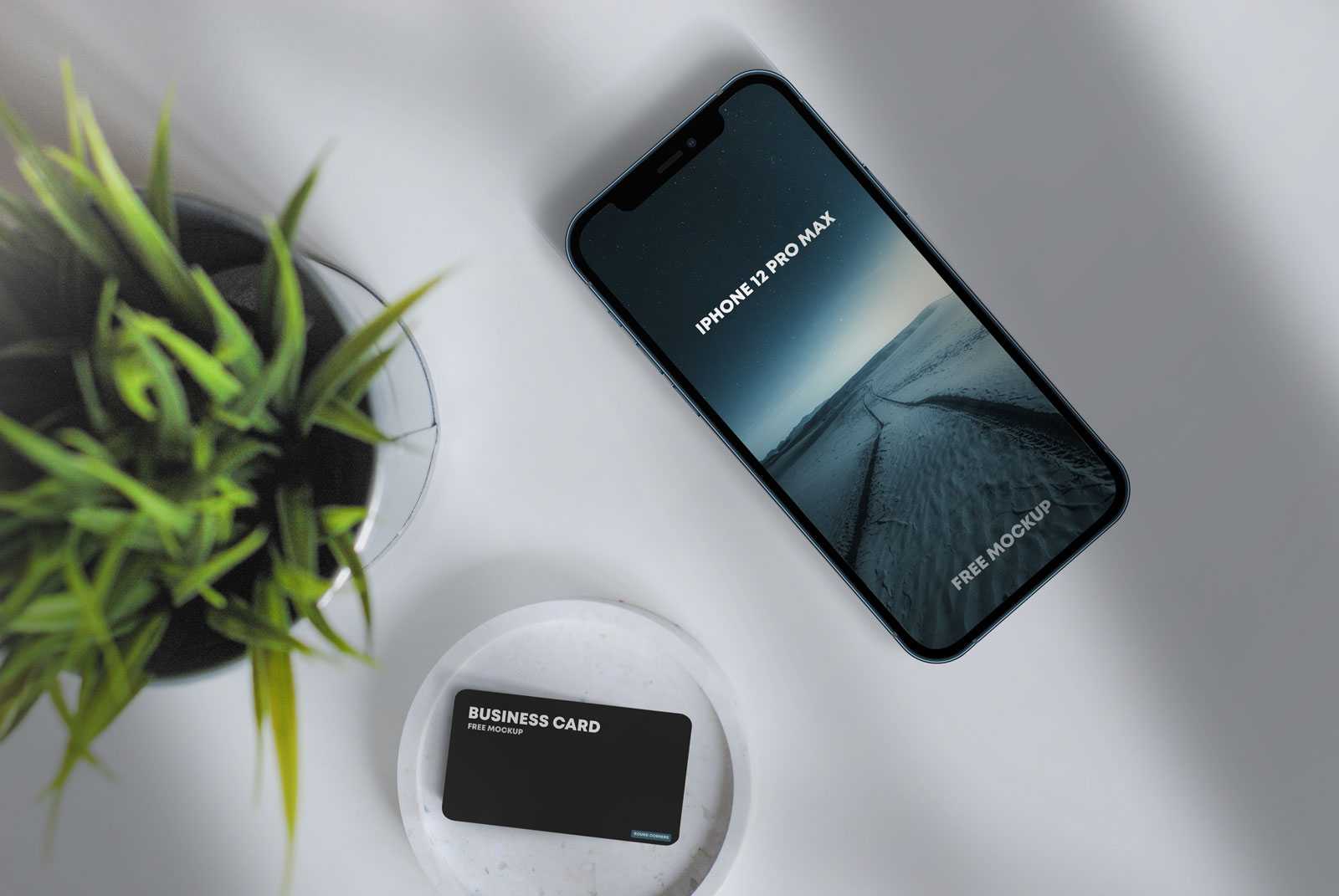 iPhone 12 Pro Max and Business Card Free Mockup PSD