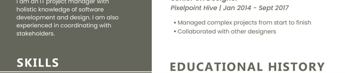 IT Project Manager Resume Template PSD 2026 | PsFiles