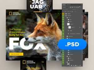 National Geo Header Design Exploration PSD Web Templates