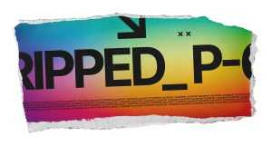 Paper with Ripped Borders Mockup Free PSD