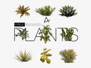 Plant PSD Design Resources for Architects