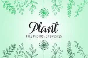 Plants Ps Brushes by Fixthephoto
