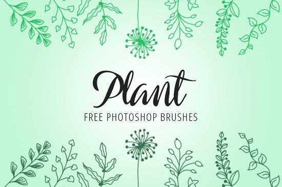 Plants Ps Brushes by Fixthephoto