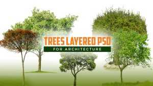 Trees Layered PSD file for Architecture free download