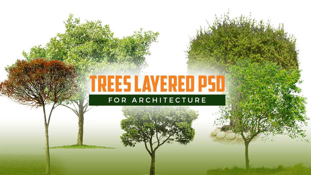 Trees Layered PSD file for Architecture free download