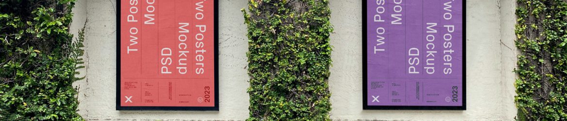 Two Posters on Wall Mockup