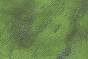10 Free Handpainted Acrylic Textures (JPG)
