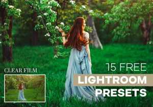 15 Free Lightroom Presets