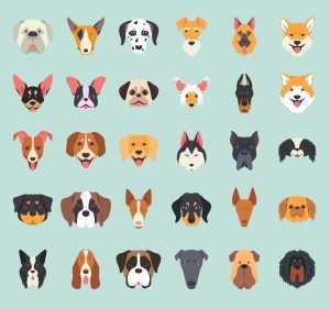 30 Free Dog Breeds Vector Icons (AI)