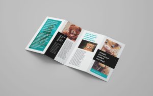 4 Panel Leaflet Brochure Mockup